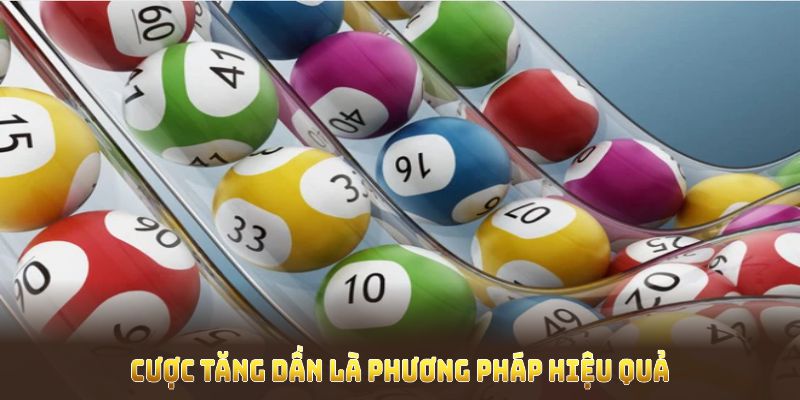 Cược tăng dần là phương pháp giúp hội viên tăng khả năng sinh lời hiệu quả