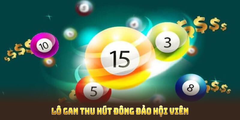 Lô gan thu hút đông đảo hội viên tham gia